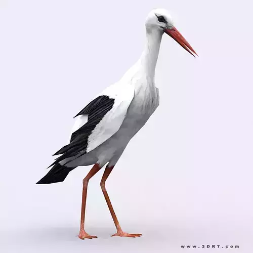 3DRT - Stork Low-poly 3D model