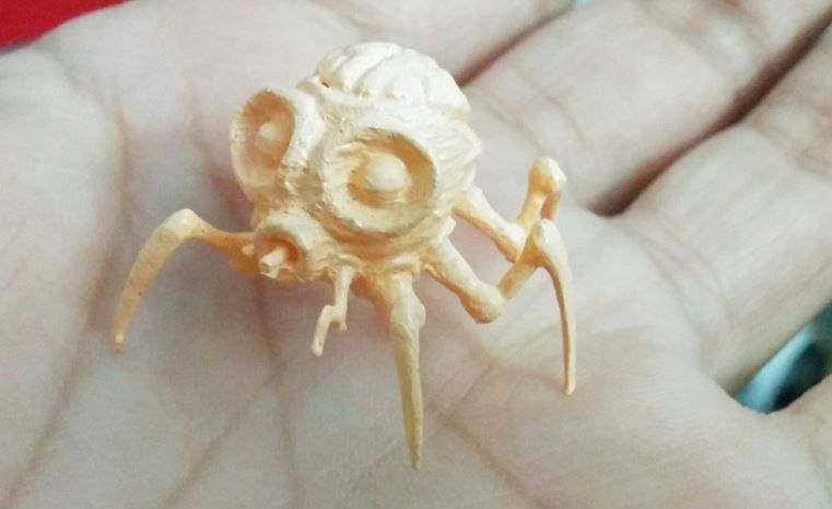 Brain Bug 3D print model_1
