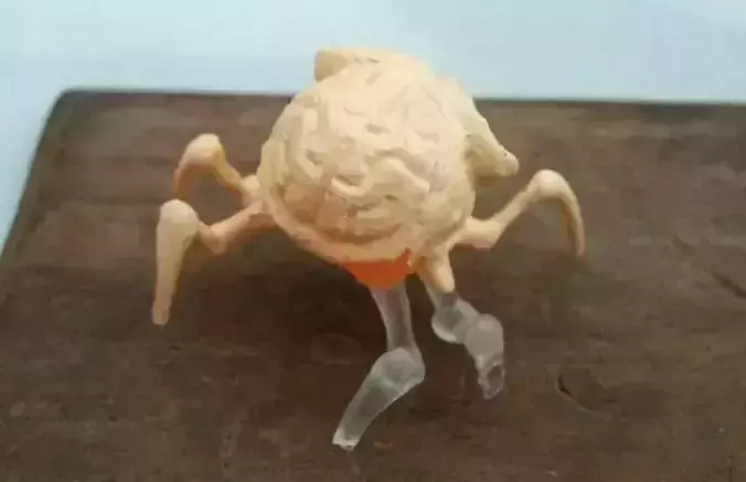 Brain Bug 3D print model