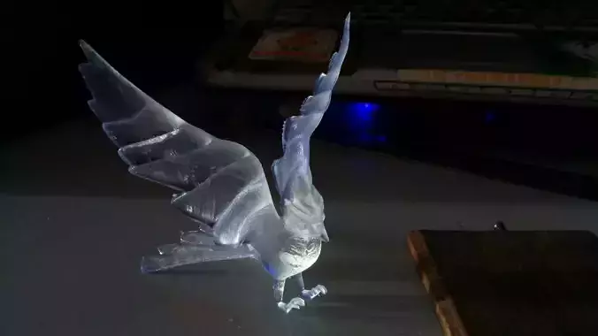 Bird with wings stretched back