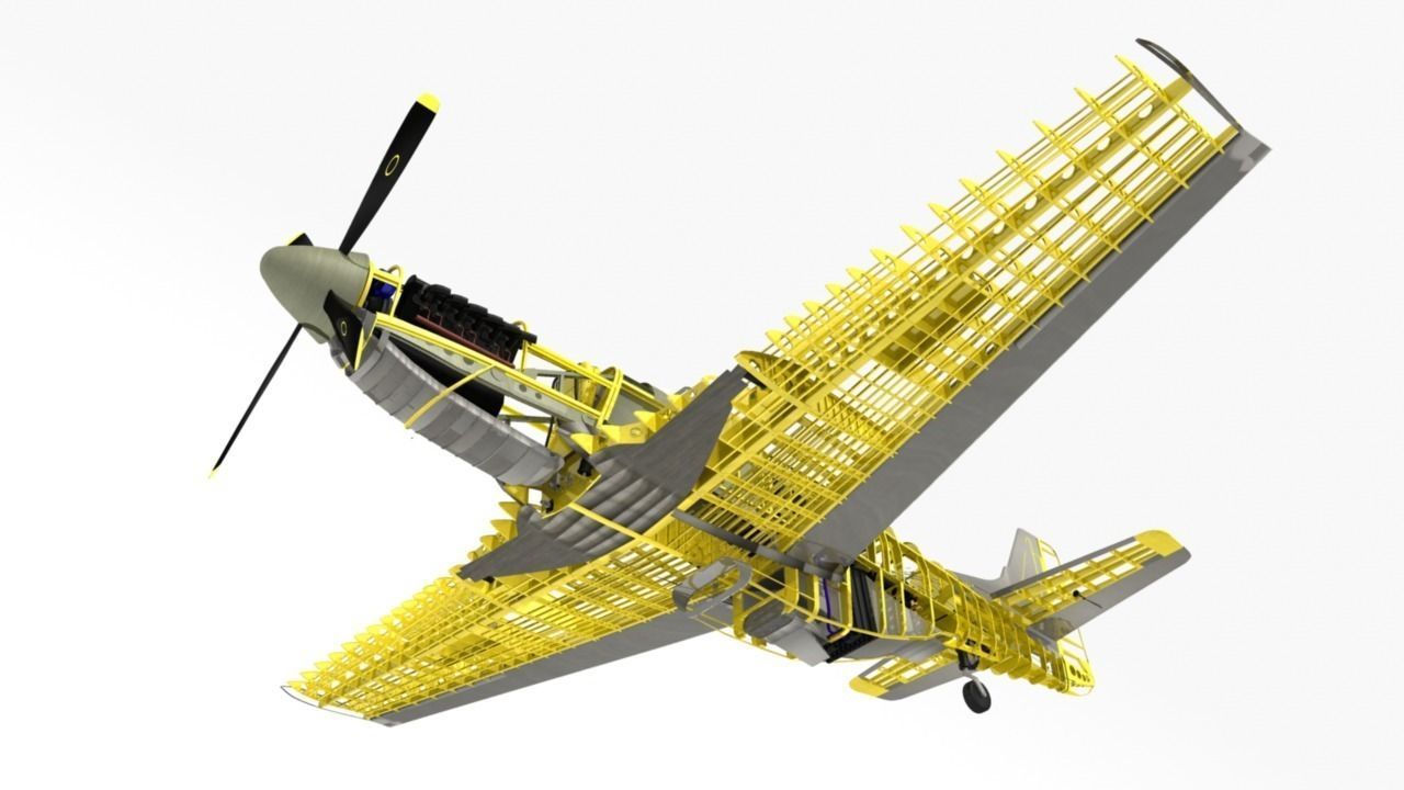 The P51D Mustang  Low-poly 3D model_31