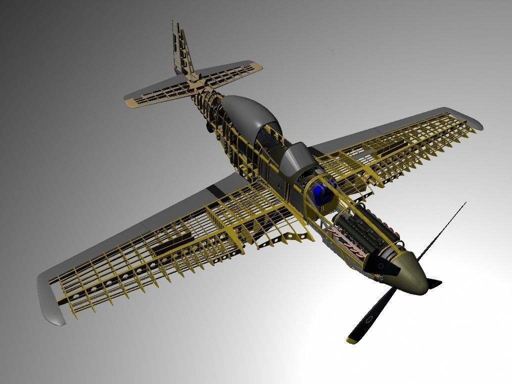 The P51D Mustang  Low-poly 3D model_1