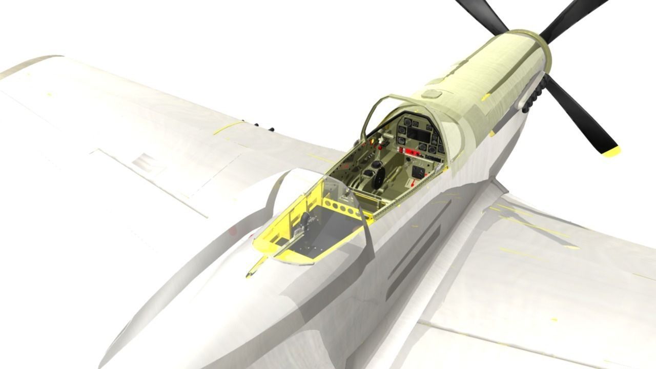 The P51D Mustang  Low-poly 3D model_14