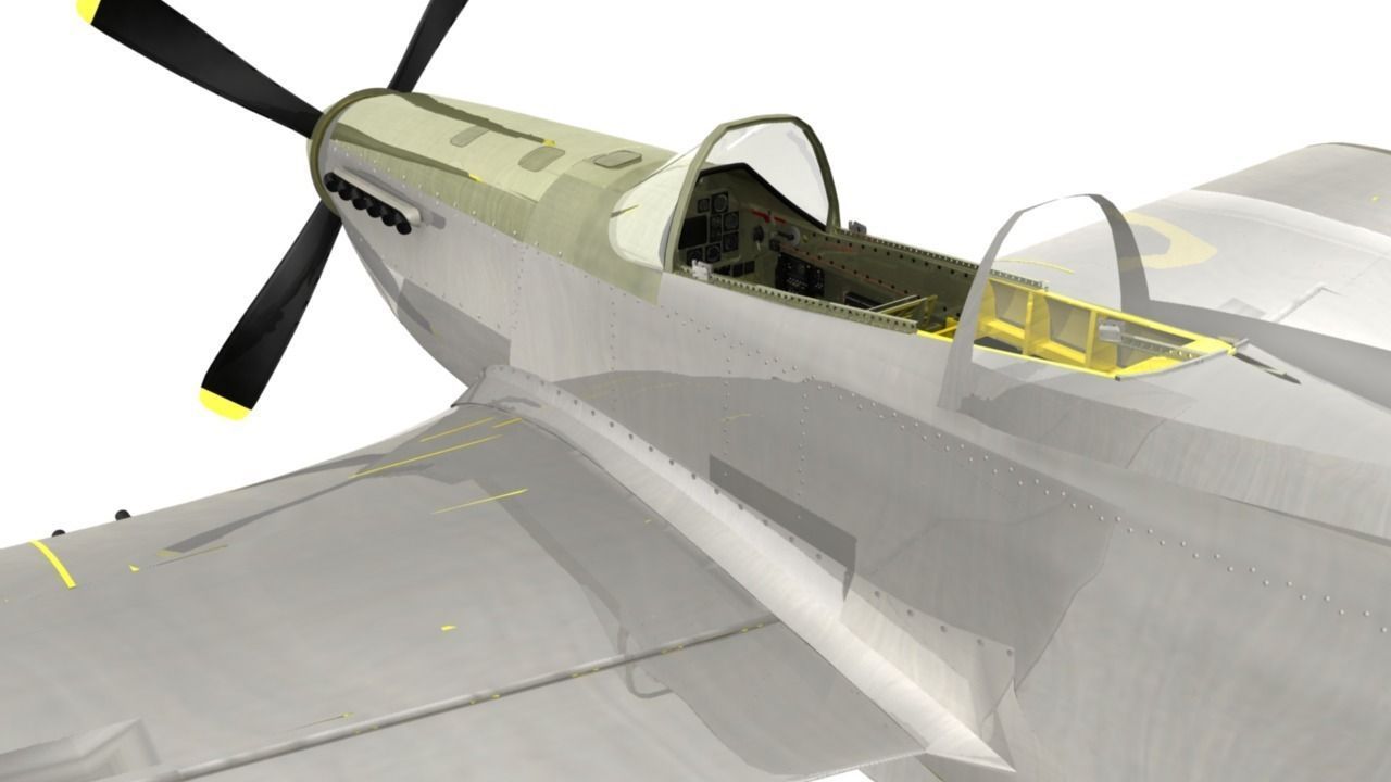 The P51D Mustang  Low-poly 3D model_13