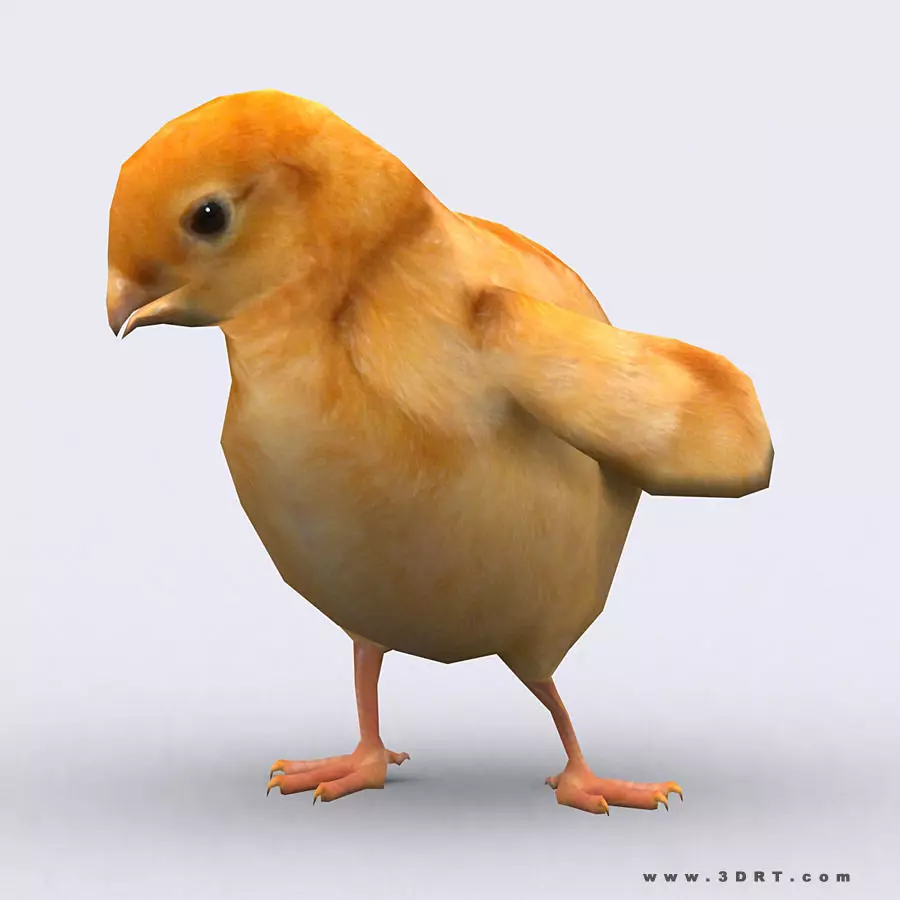 3DRT - Chick Low-poly 3D model_0