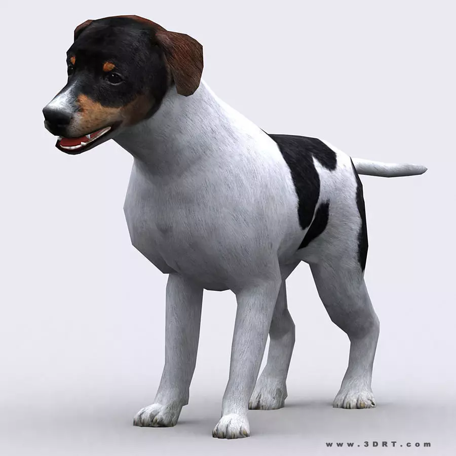 3DRT - Dog Low-poly 3D model_0