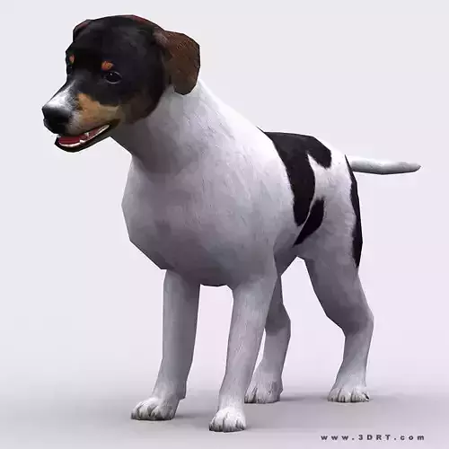 3DRT - Dog Low-poly 3D model