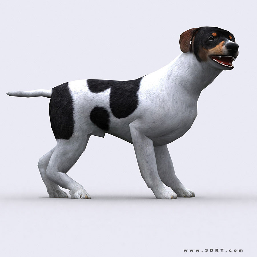 3DRT - Dog Low-poly 3D model_1