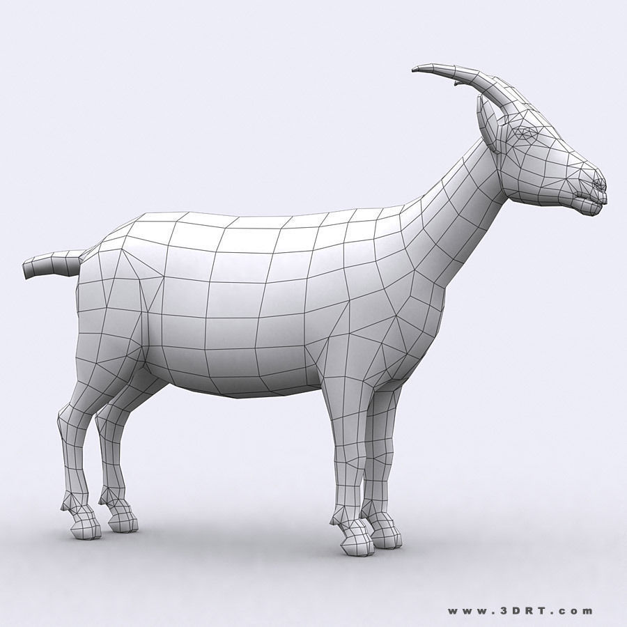 3DRT - Goat Low-poly 3D model_2