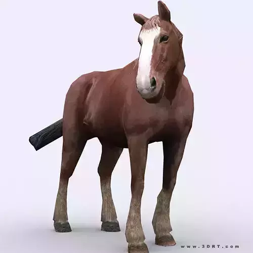 3DRT - Horse Low-poly 3D model