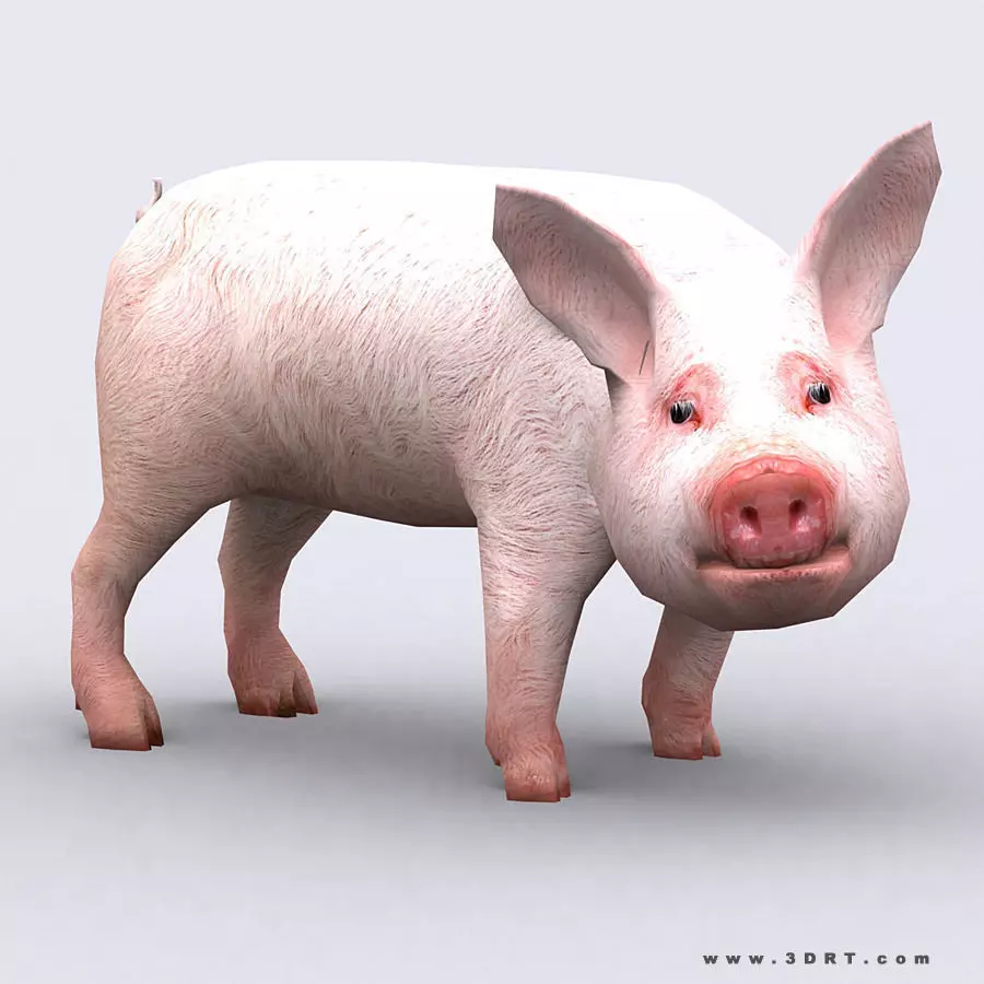 3DRT - Piglet Low-poly 3D model_0
