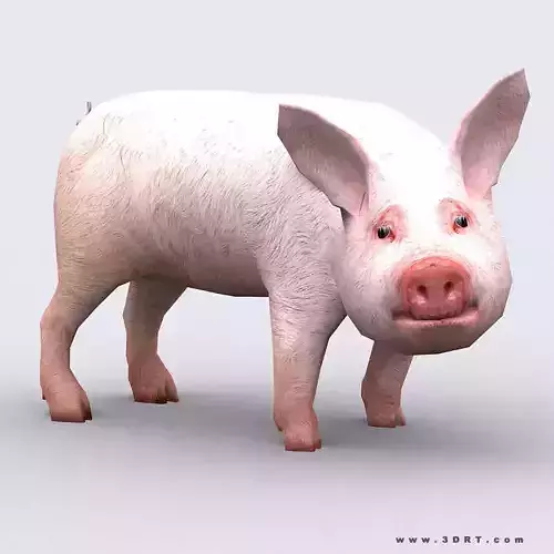 3DRT - Piglet Low-poly 3D model