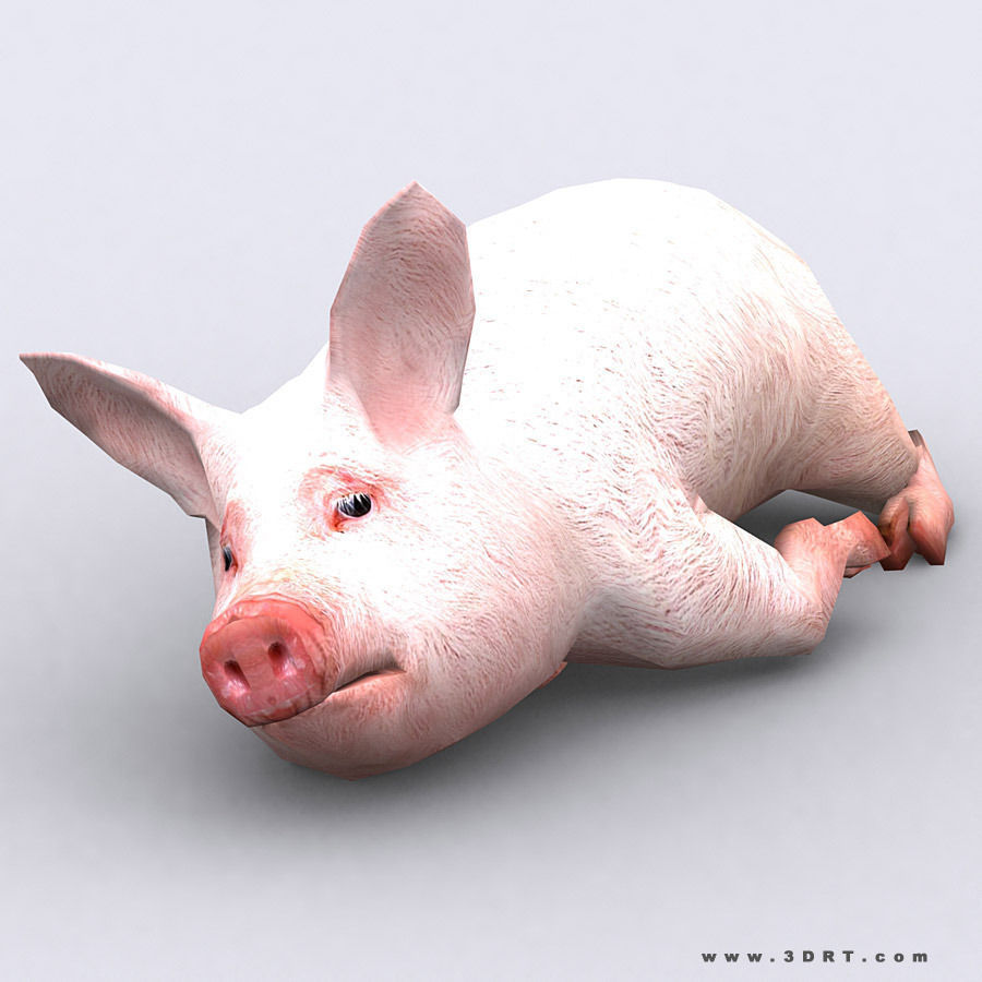 3DRT - Piglet Low-poly 3D model_1