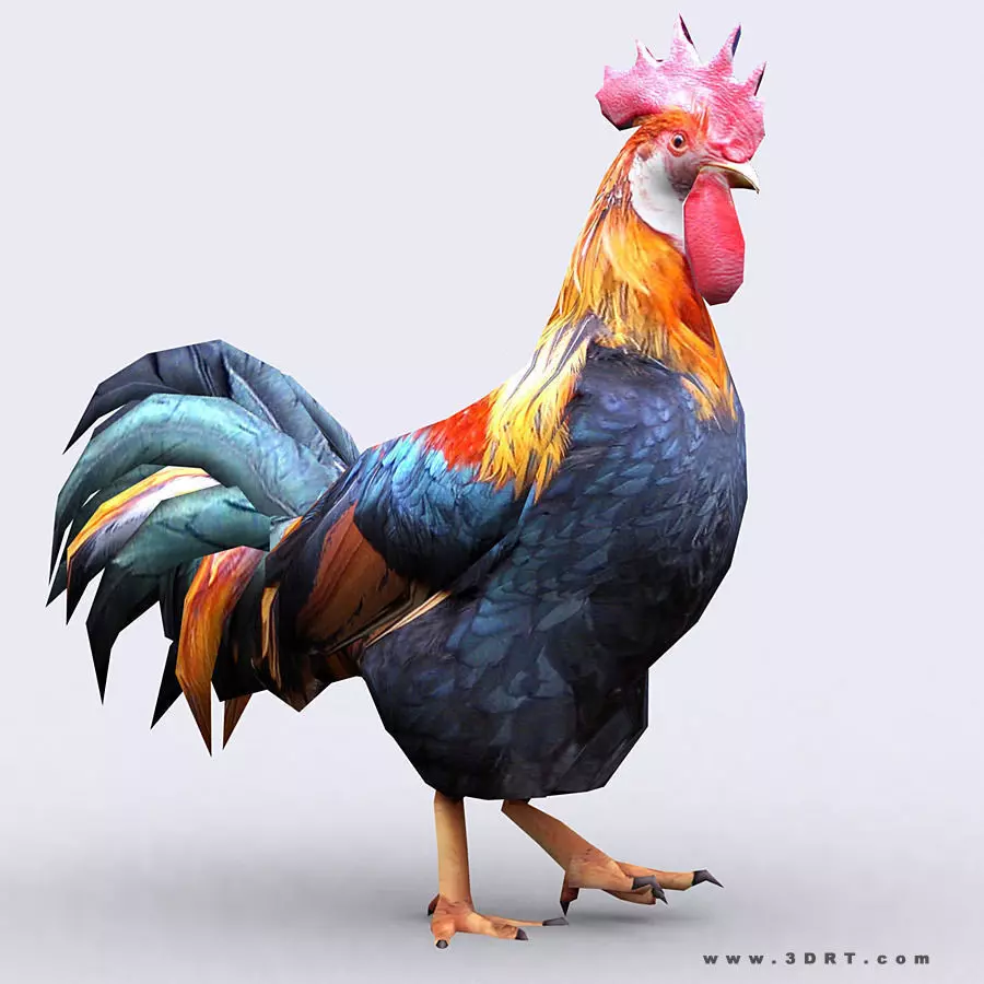 3DRT - Rooster Low-poly 3D model_0