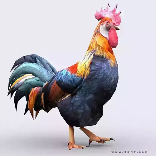 3DRT - Rooster Low-poly 3D model