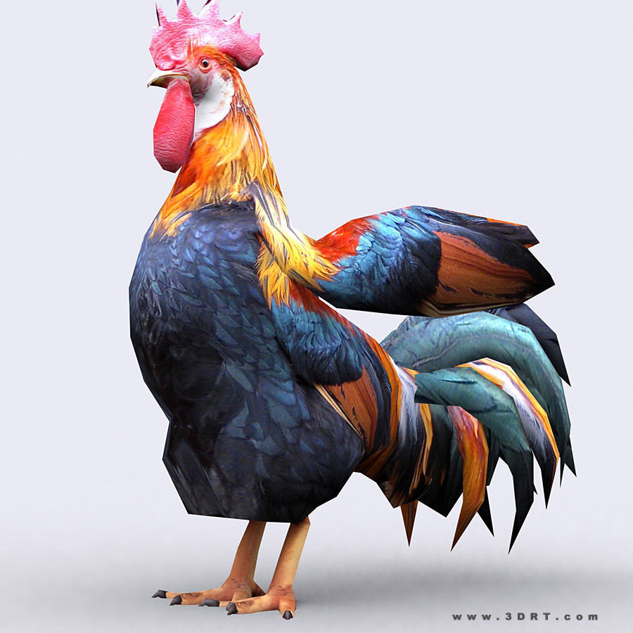 3DRT - Rooster Low-poly 3D model_1