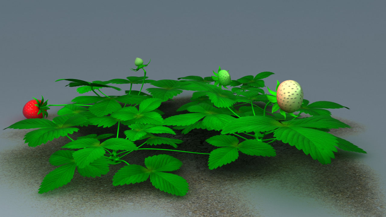 Strawberry Man - Rigged Low-poly 3D model_5