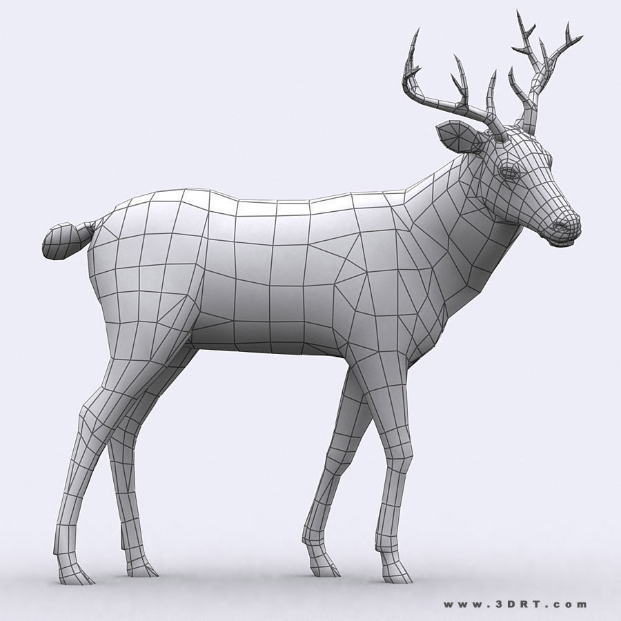 3DRT - Deer Low-poly 3D model_2