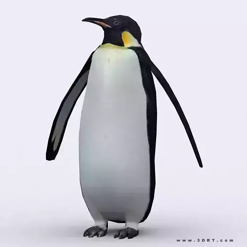 3DRT - Penguin Low-poly 3D model