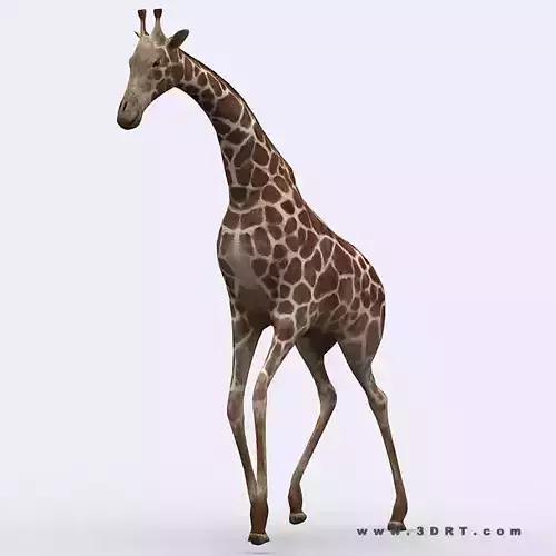 3DRT - Giraffe Low-poly 3D model