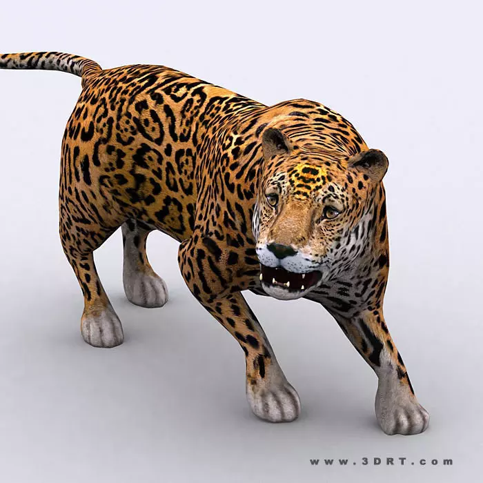 3DRT - Jaguar Low-poly 3D model_0