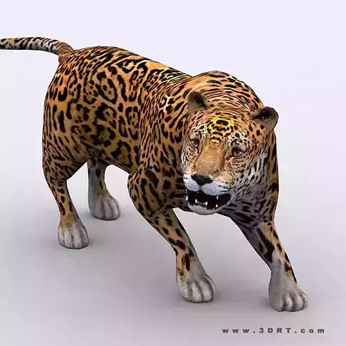 3DRT - Jaguar Low-poly 3D model