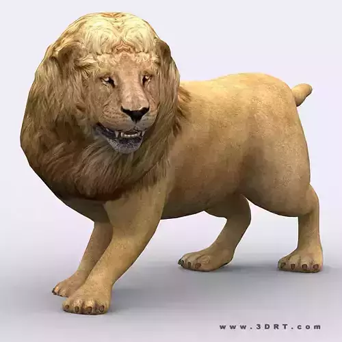 3DRT - Lion Low-poly 3D model