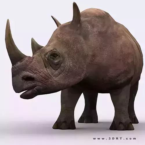 3DRT - Rhinoceros Low-poly 3D model