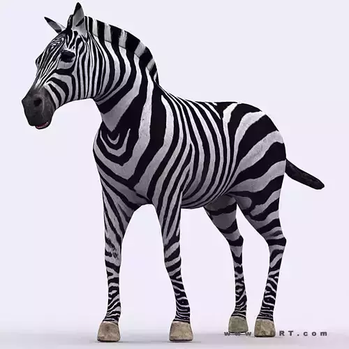 3DRT - Zebra Low-poly 3D model