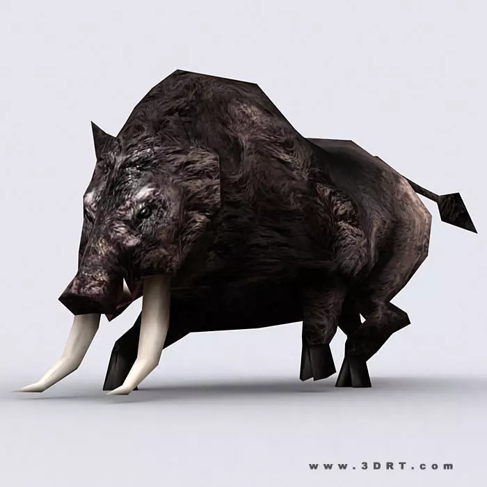 3DRT - Fantasy AAnimal Boar Low-poly 3D model_0
