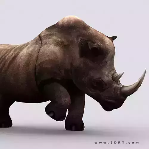 3DRT - Fantasy Animal Rhino Low-poly 3D model