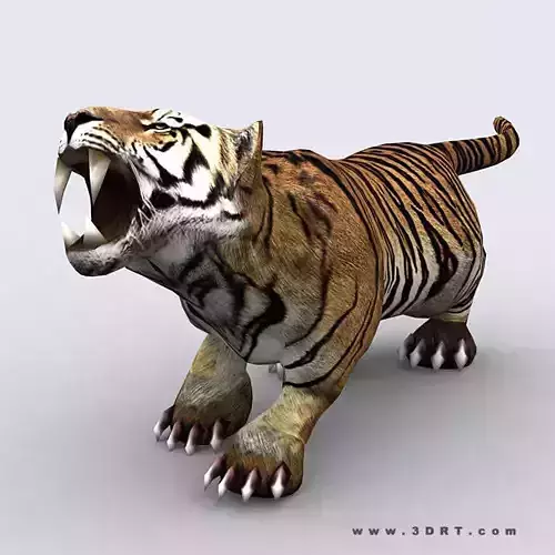3DRT - Fantasy Animal TIger
