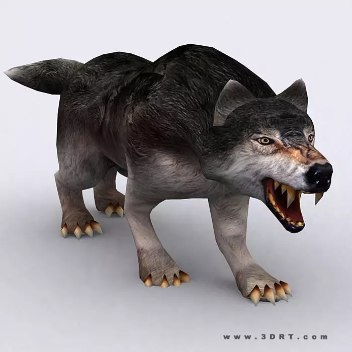 3DRT - Fantasy Animal Wolf Low-poly 3D model