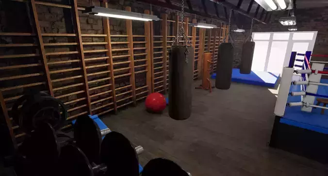 Boxing Gym - Exercise Equipment 