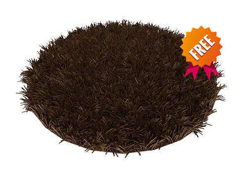 3D carpet mesh DMV303 Free 3D model_2