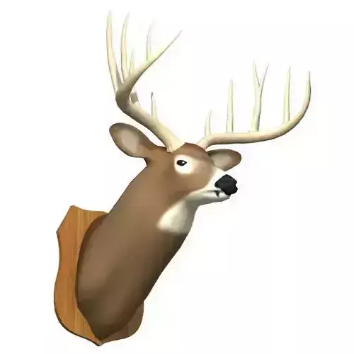 Mounted Deer Trophy
