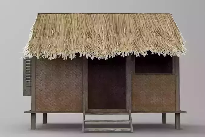Indonesian Traditional House