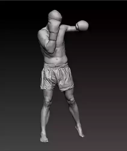 Male Boxer 3D model