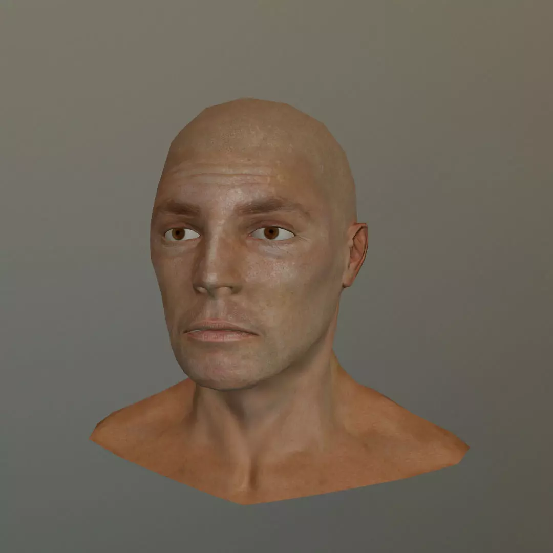 genHead lowpoly bald head Low-poly 3D model