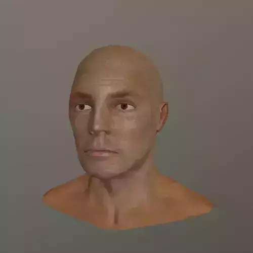 genHead lowpoly bald head