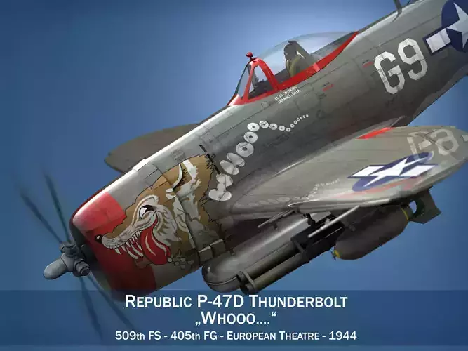 Republic P-47D Thunderbolt - Whoo