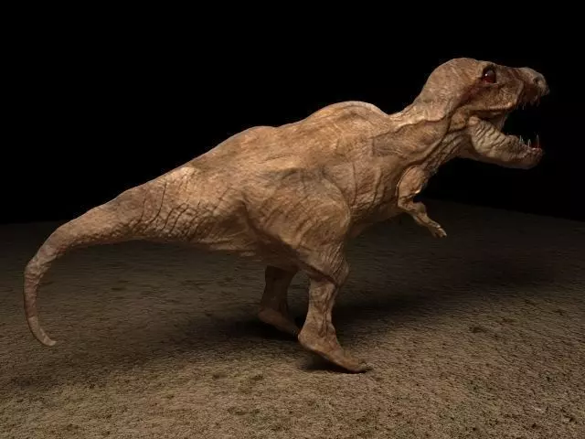 DINOSAUR t - rex Free 3D model
