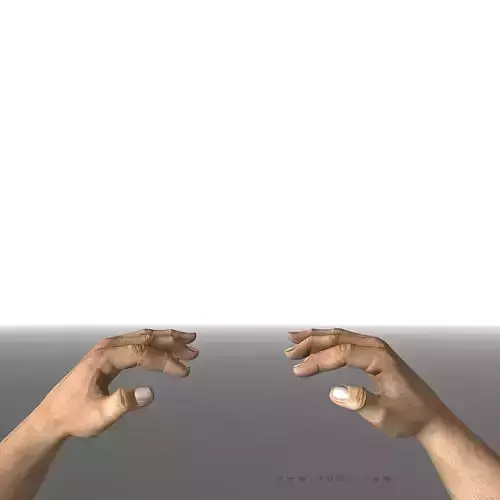 3DRT - Modern Firearms Animated - Bare Hands  Low-poly 3D model