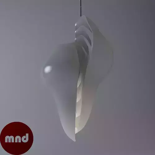 Hanging Shell Lamp