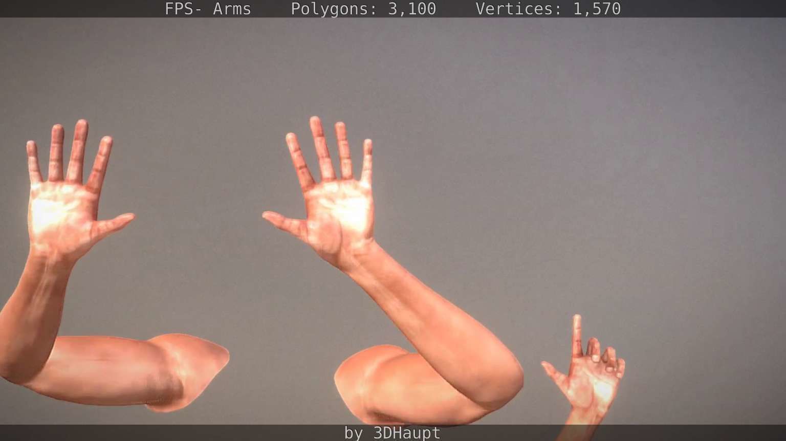 FPS-Arms Low-poly 3D model_29