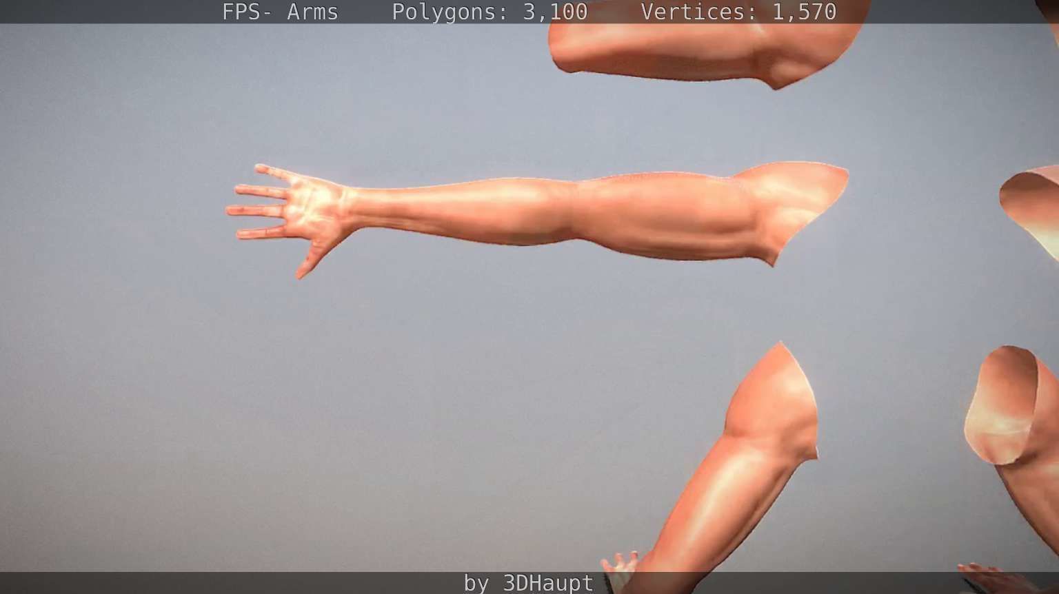 FPS-Arms Low-poly 3D model_55