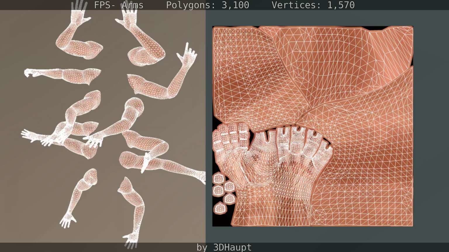 FPS-Arms Low-poly 3D model_64