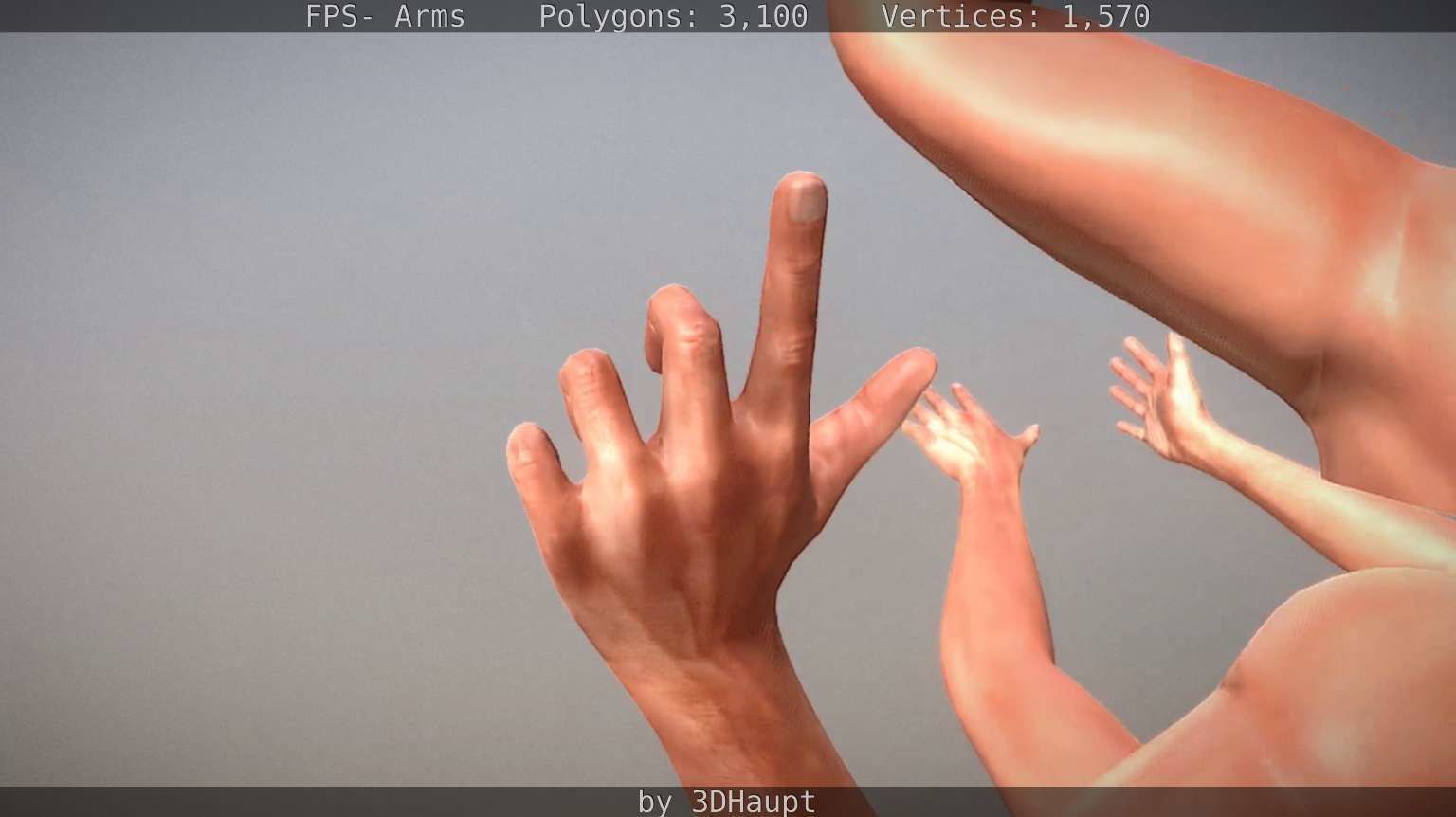 FPS-Arms Low-poly 3D model_87