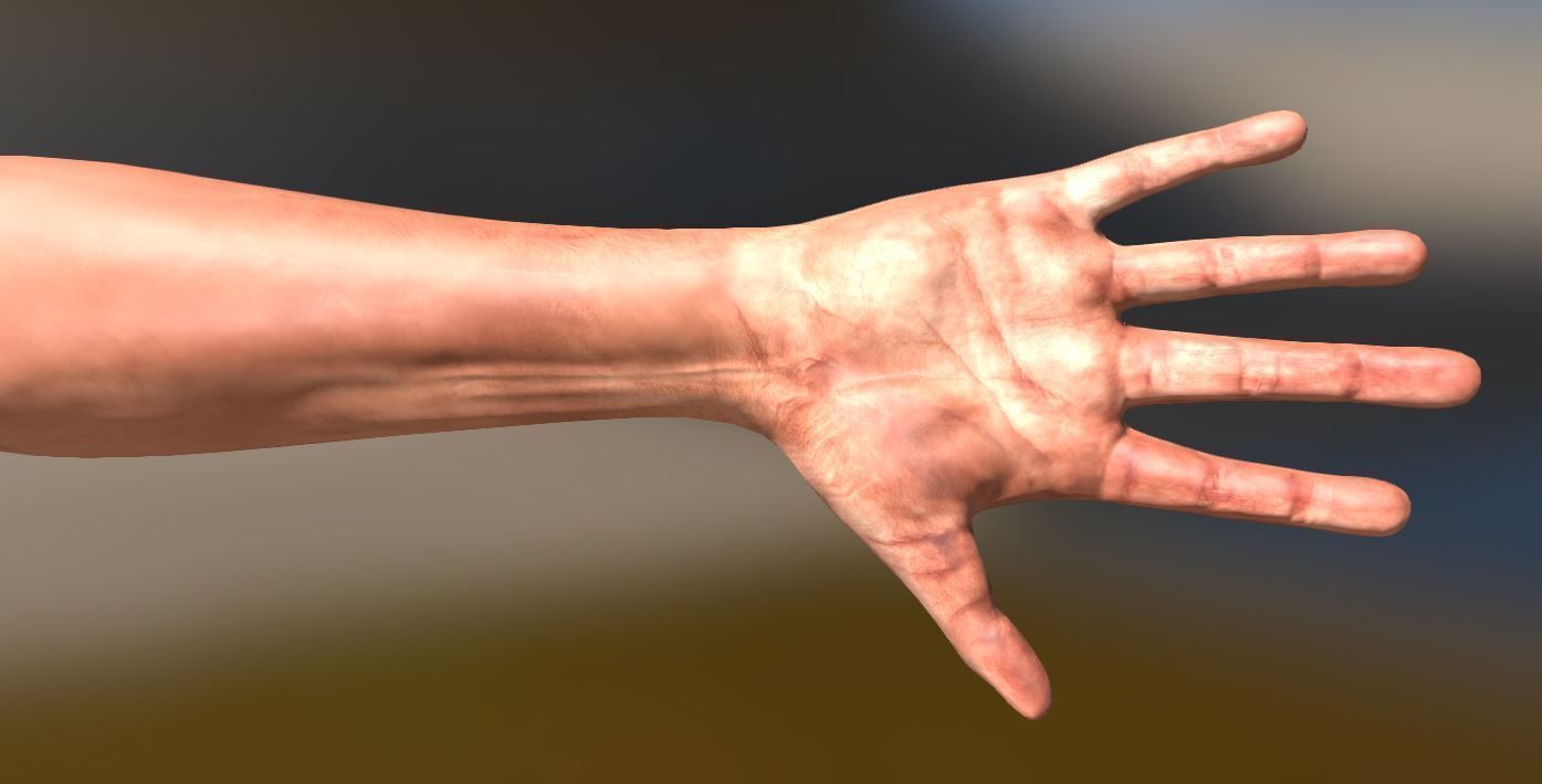 FPS-Arms Low-poly 3D model_2