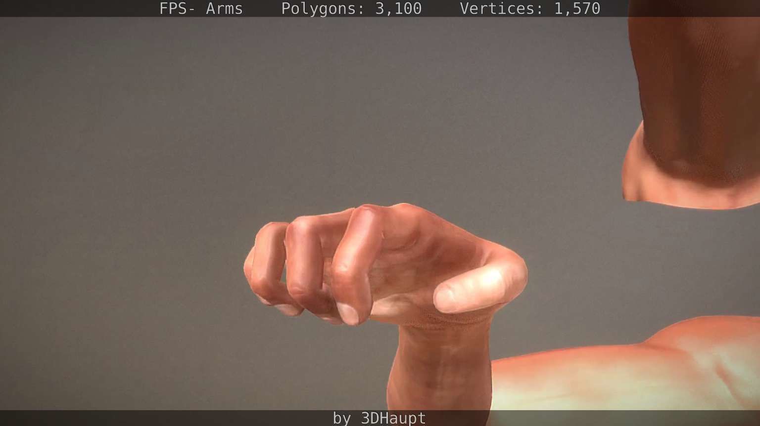 FPS-Arms Low-poly 3D model_70